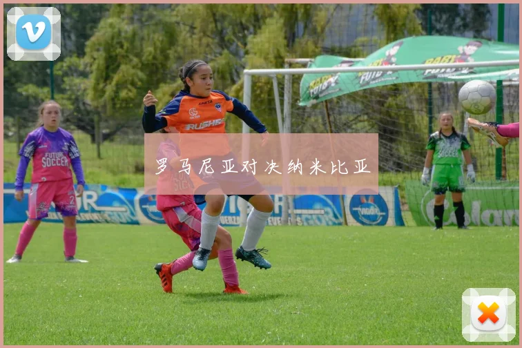 罗马尼亚对决纳米比亚