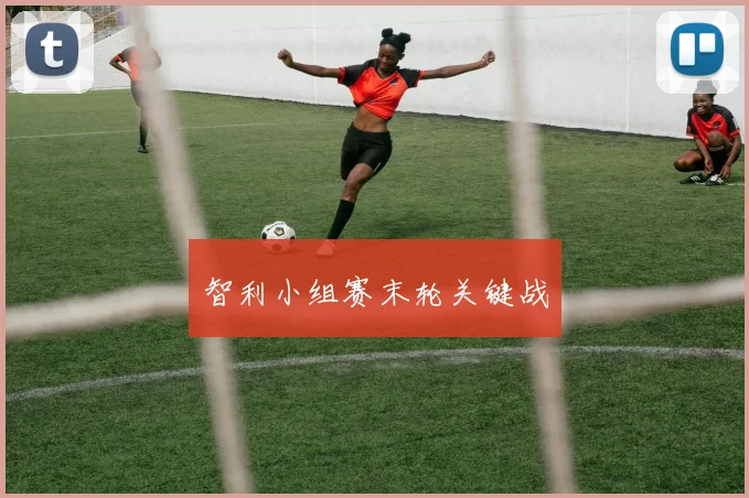 智利小组赛末轮关键战