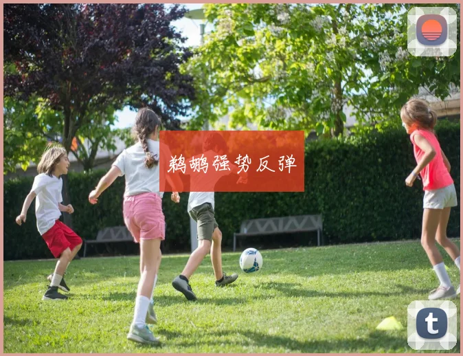 鹈鹕强势反弹