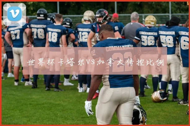世界杯卡塔尔vs加拿大传控比例