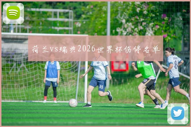 荷兰vs瑞典2026世界杯伤停名单