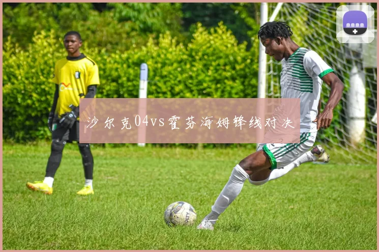 沙尔克04vs霍芬海姆锋线对决